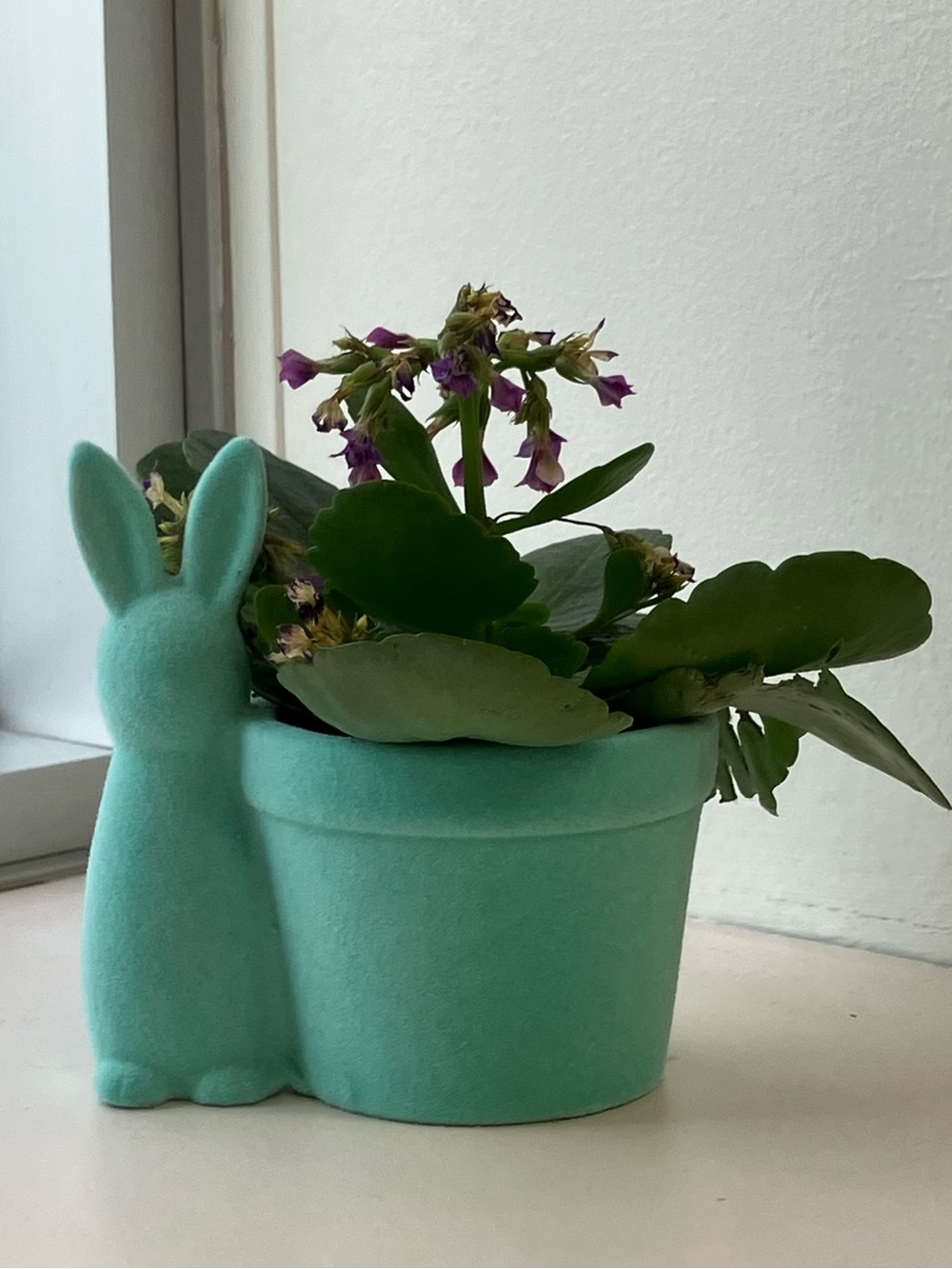 Turquoise Bunny Planter